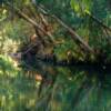 The Jordan River