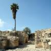 The ruins of Megiddo